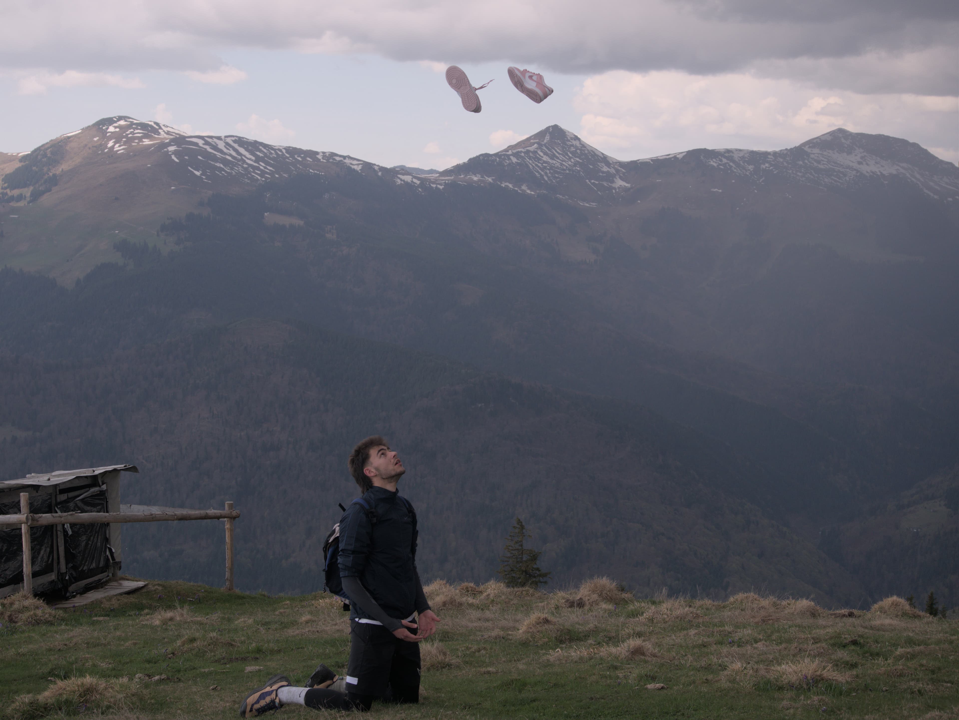 poiana narciselor trip 2025