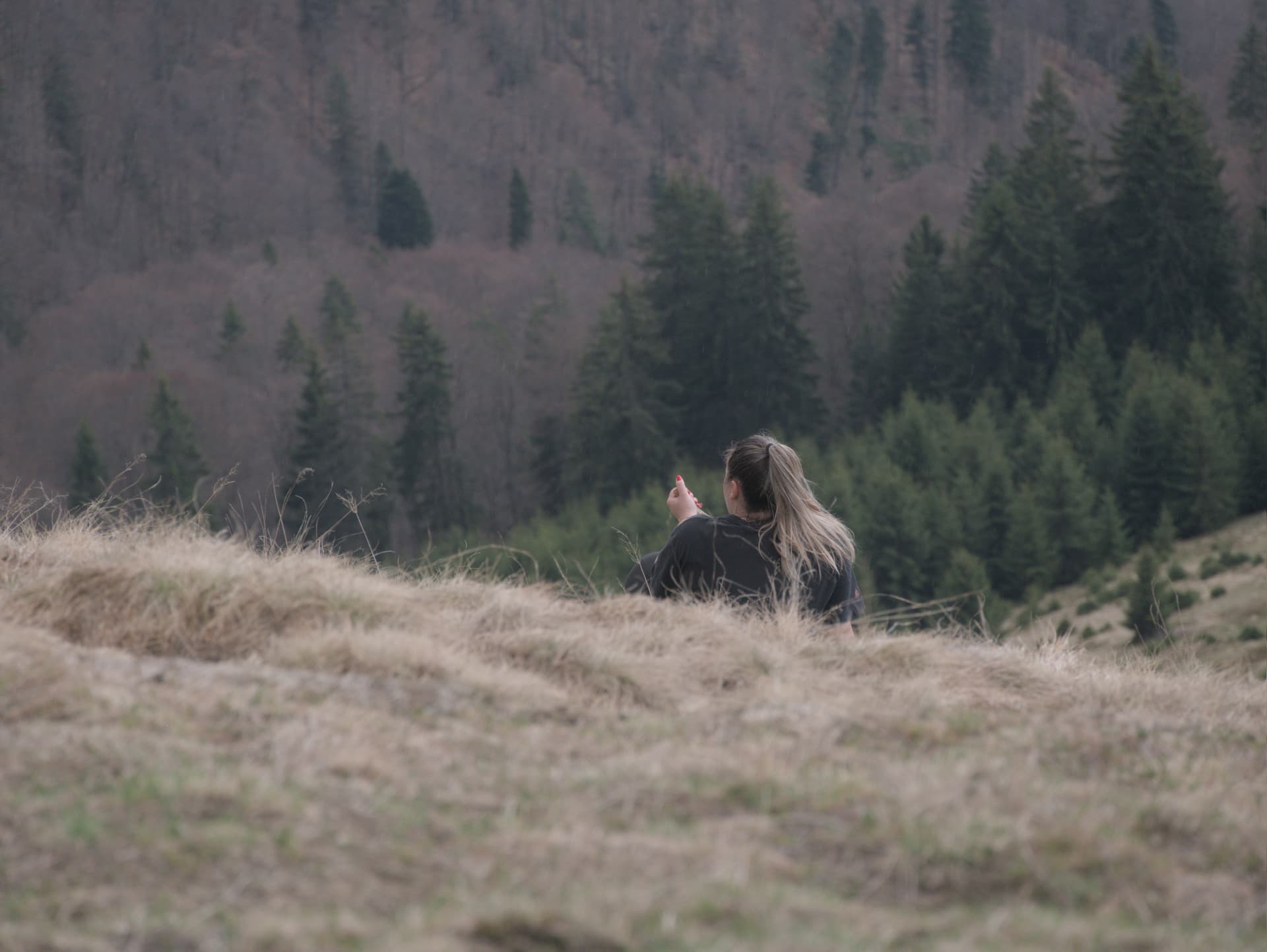 poiana narciselor trip 2025 - Photo 9