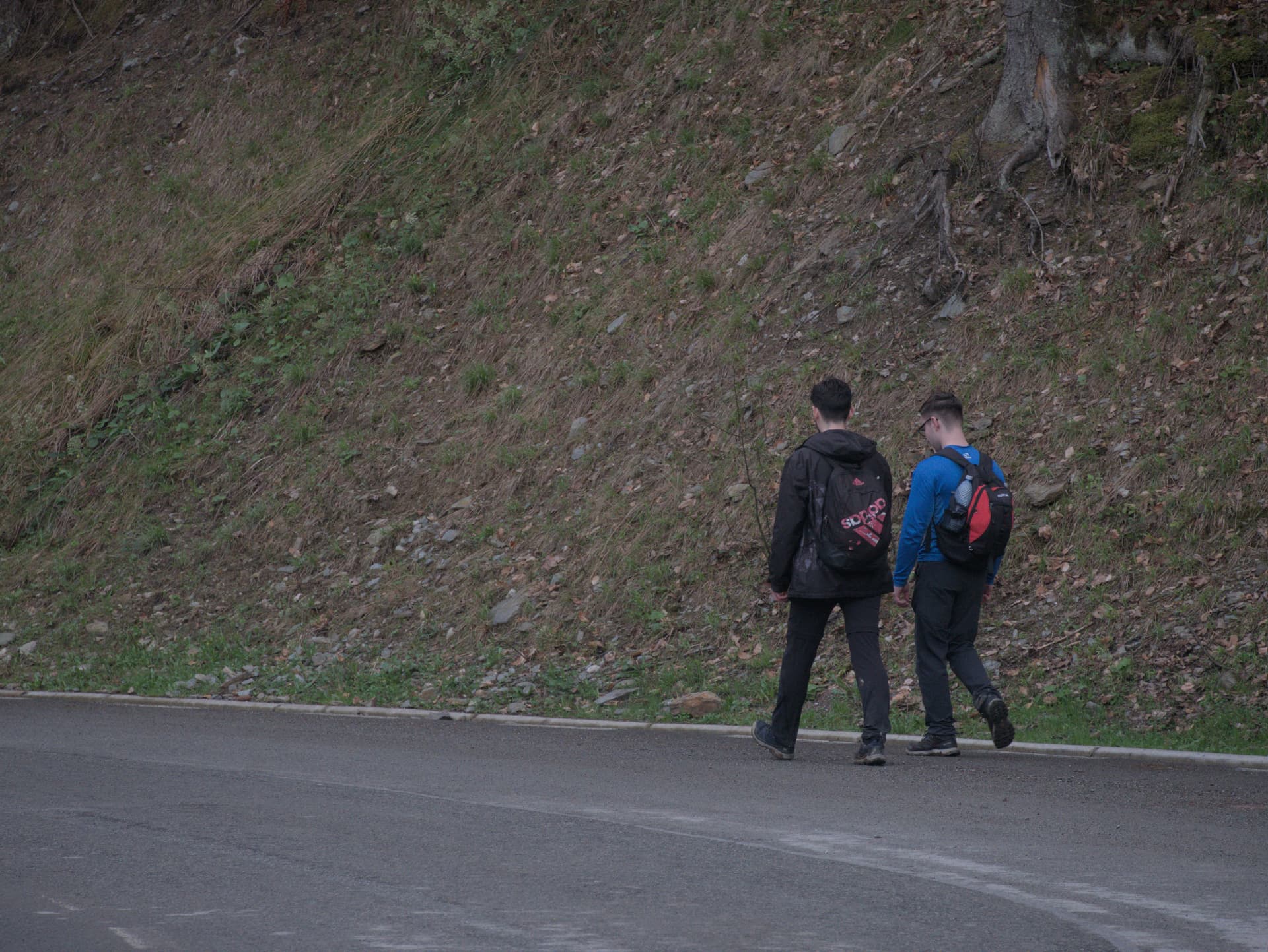 poiana narciselor trip 2025 - Photo 25